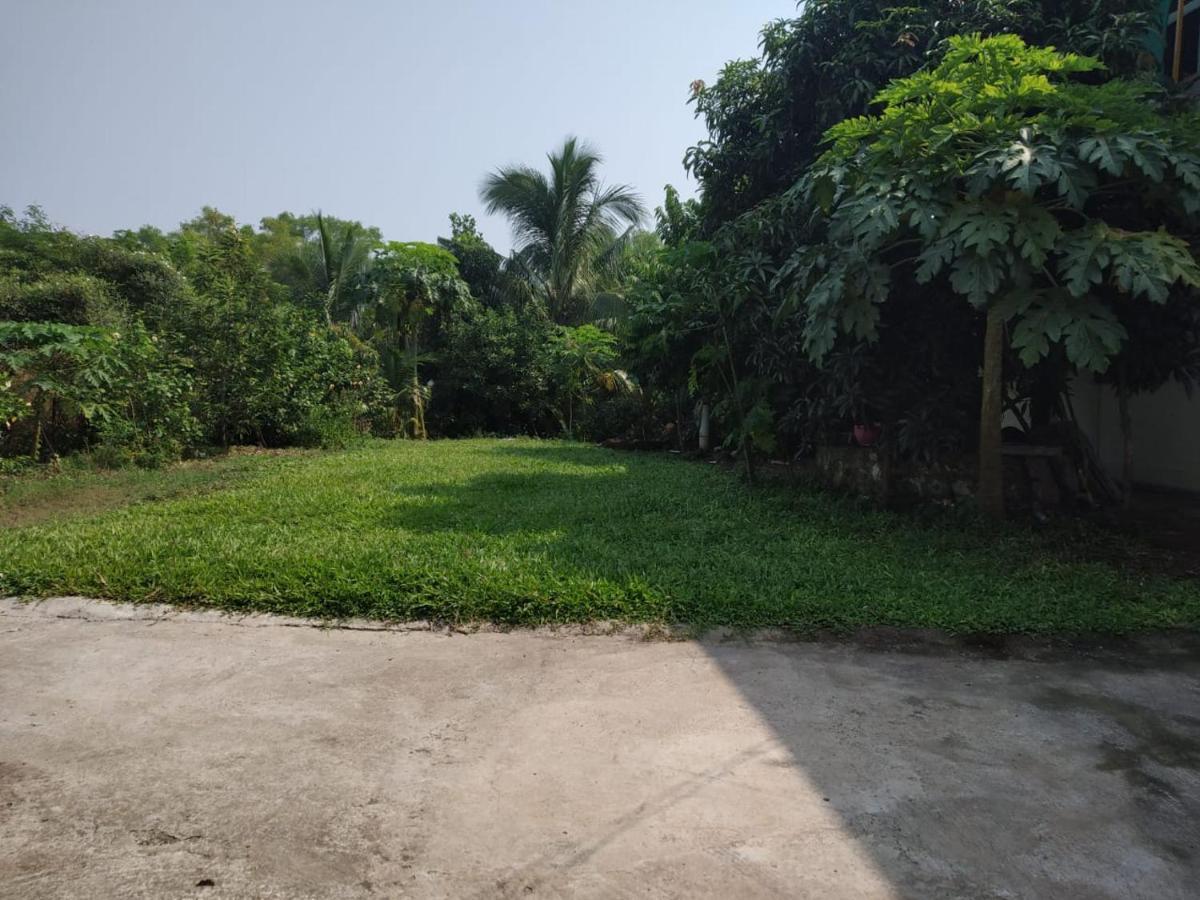 Kulswami Cottage 阿利鲍格 外观 照片